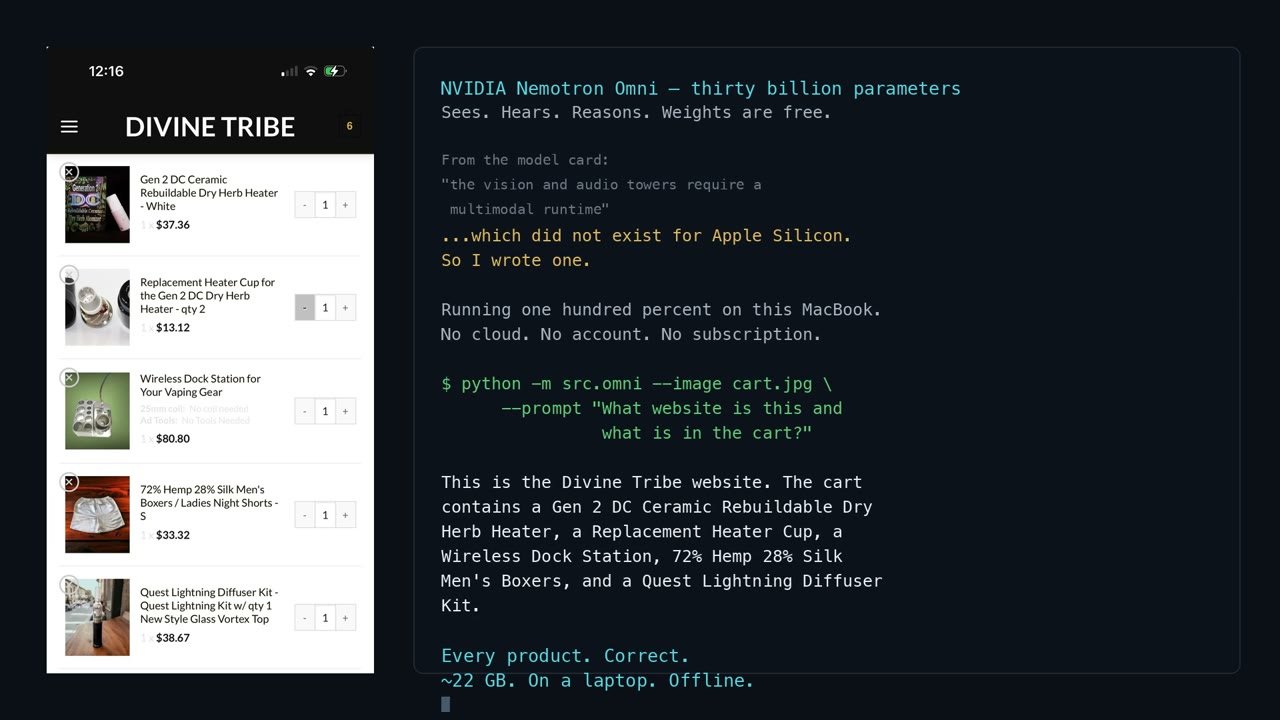 NVIDIA Shipped a Model That Sees and Hears — It Just Didn’t Run on a Mac. So I Wrote the Missing Piece.